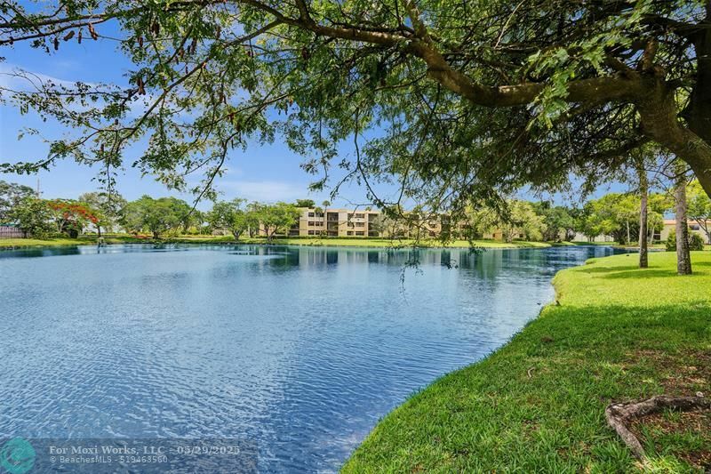 374 Lakeview Dr 203  Weston FL 33326 photo