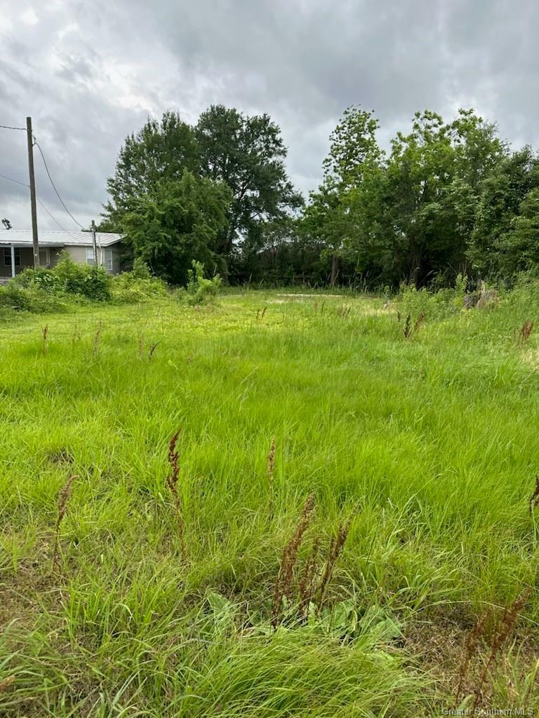 Property Photo:  3487 Eliza Road  LA 70605 