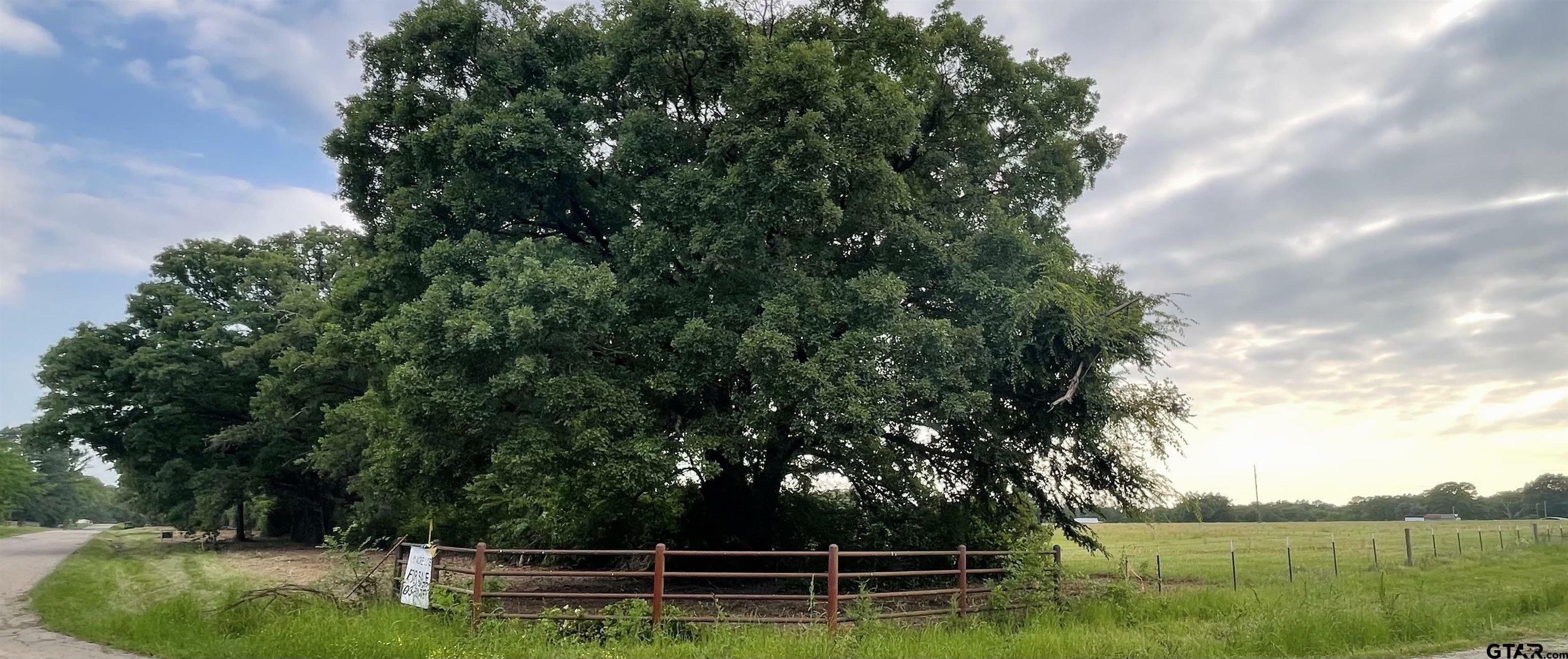 Property Photo: Lot 6 , Cr 1560 TX 75410