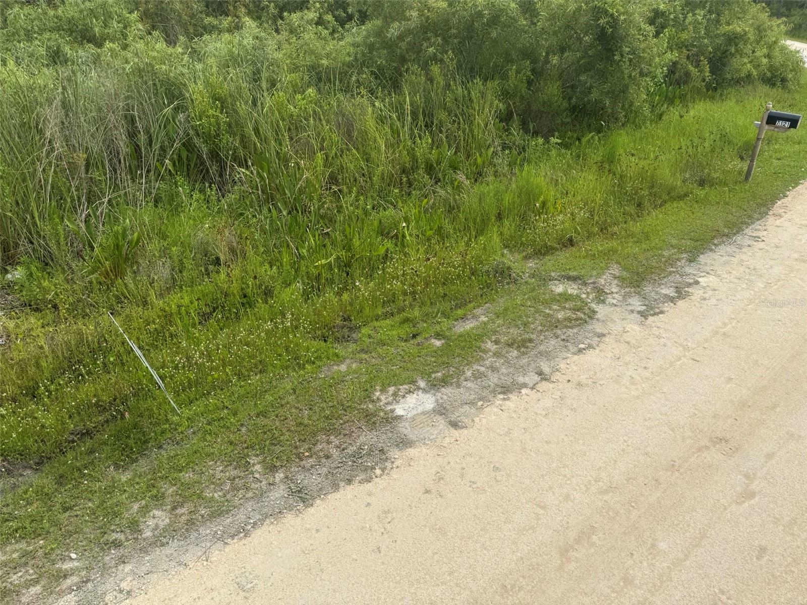 Property Photo: Otter Drive FL 33597