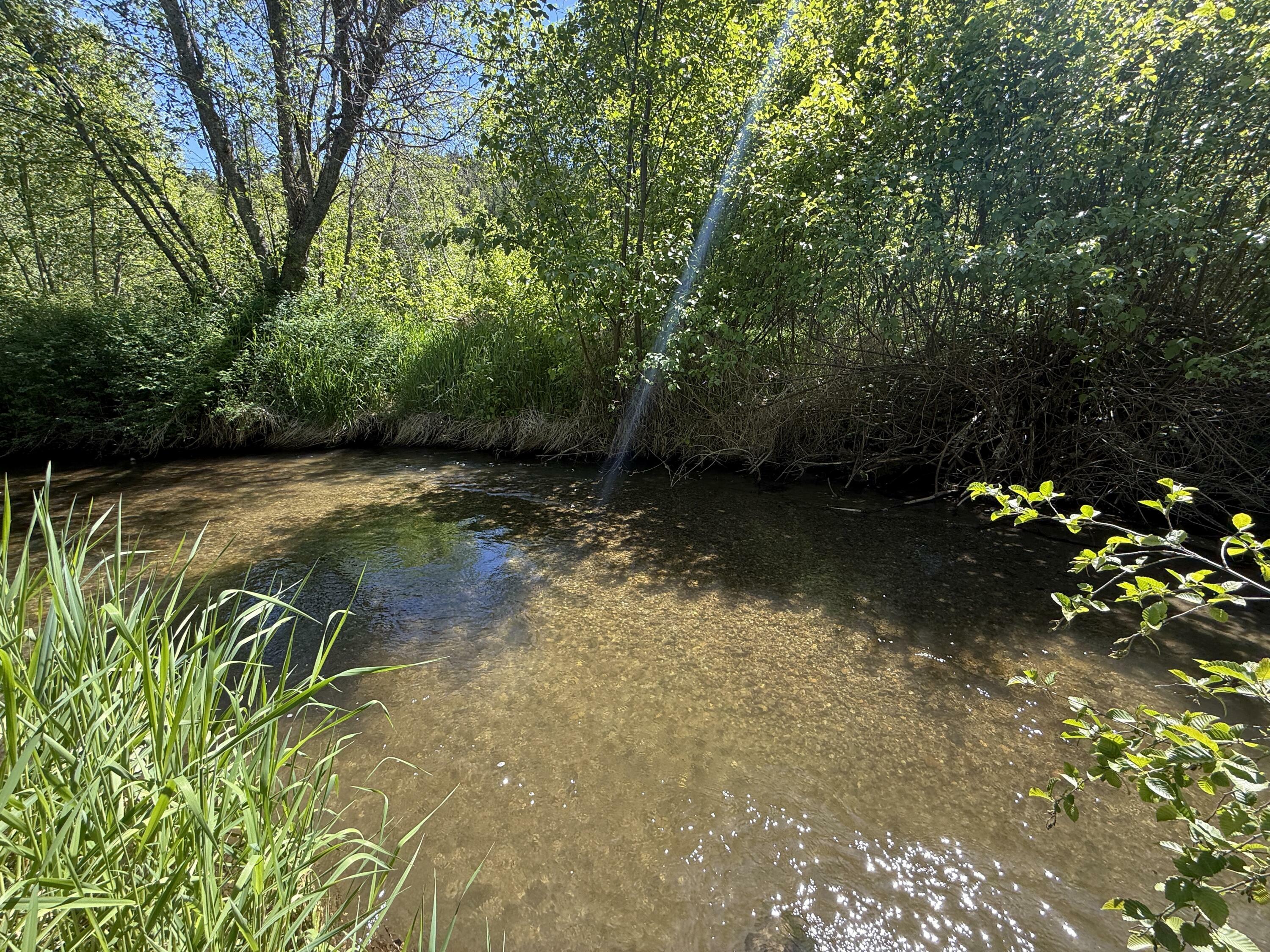 Property Photo: