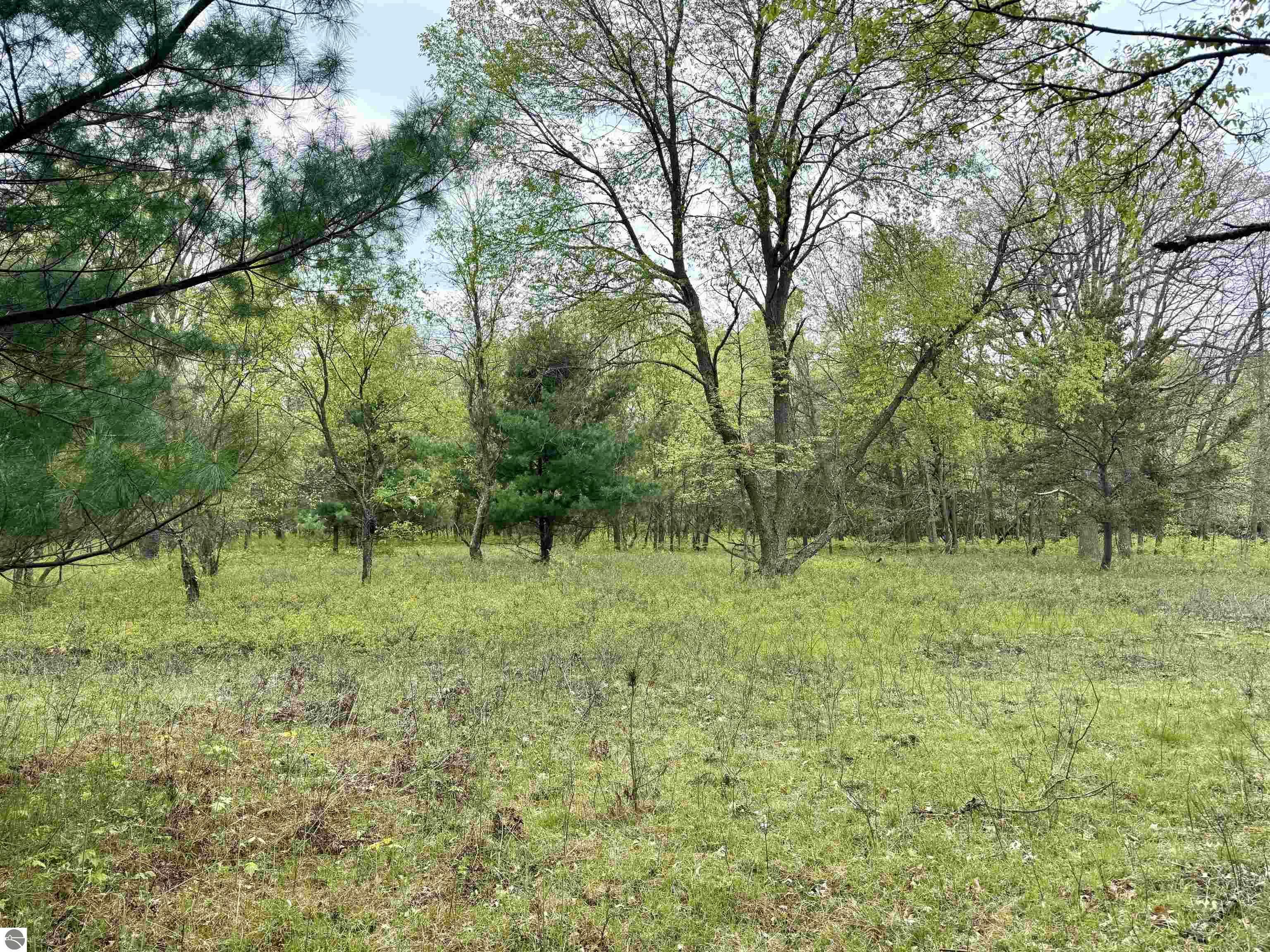 Property Photo: Parcel D Rosted Road MI 49651