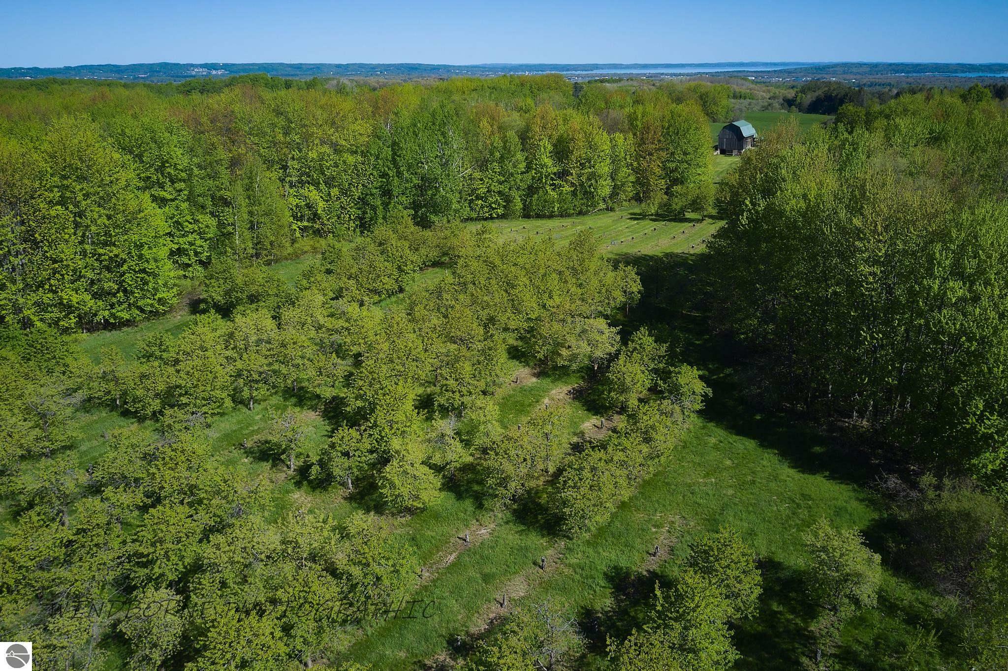 Property Photo:  Parcel G Three Mile Road  MI 49696 