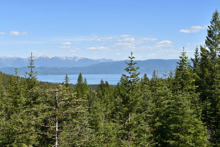 Property Photo:  1520 Bierney Creek Road  MT 59922 