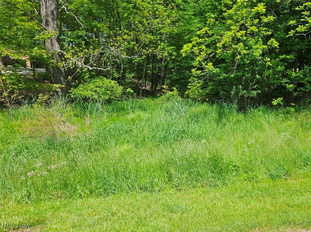 Property Photo: 0 Northridge Heights Drive OH 43028