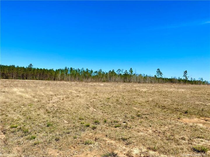 0 Camp Edgwood Rd.  Dequincy LA 70633 photo