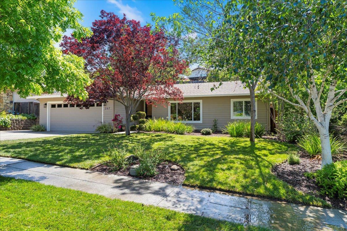 Property Photo: 267 More Avenue CA 95032