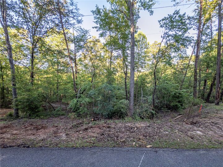 Property Photo: Lot 23 Old Shallowford Bridge Road SC 29685