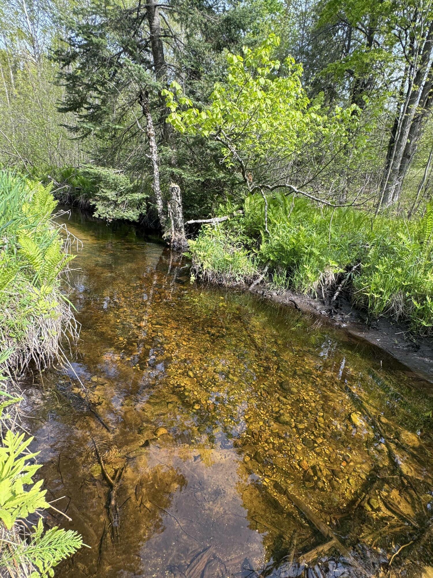 Property Photo:  1154 M-72 West  MI 48705 
