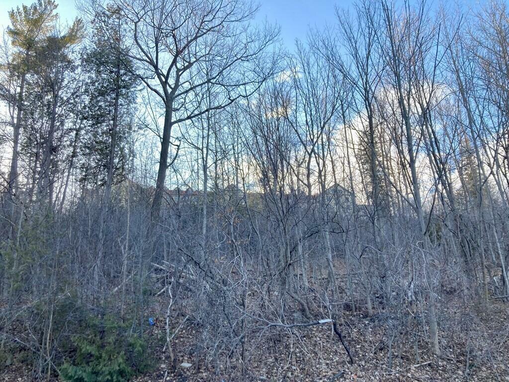 Property Photo: 02 Woodcliff Drive NY 12901