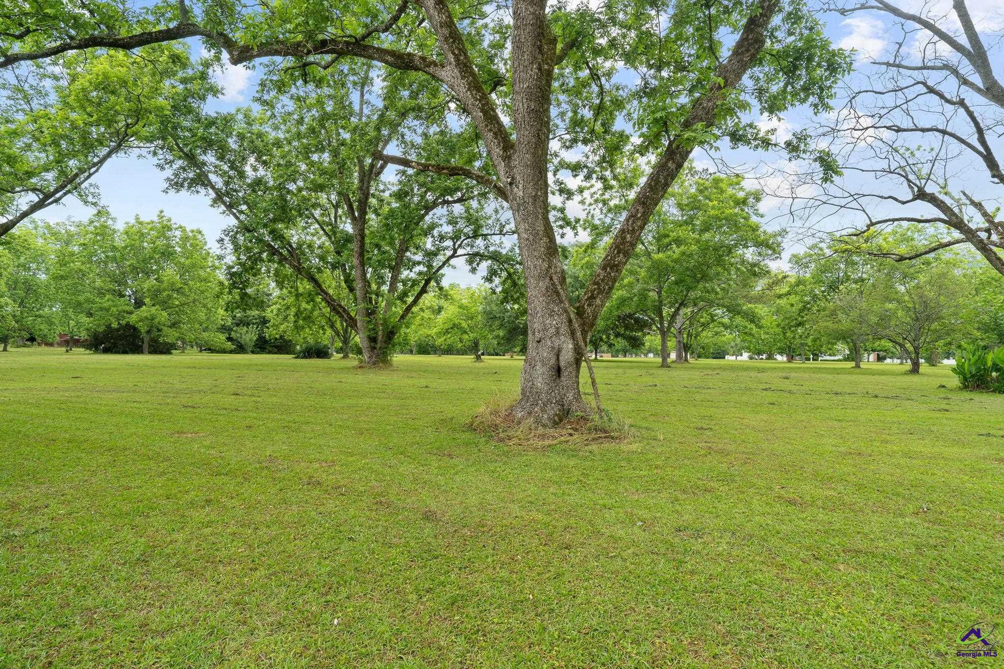 Property Photo: 196 Joe Barnes Road GA 31008