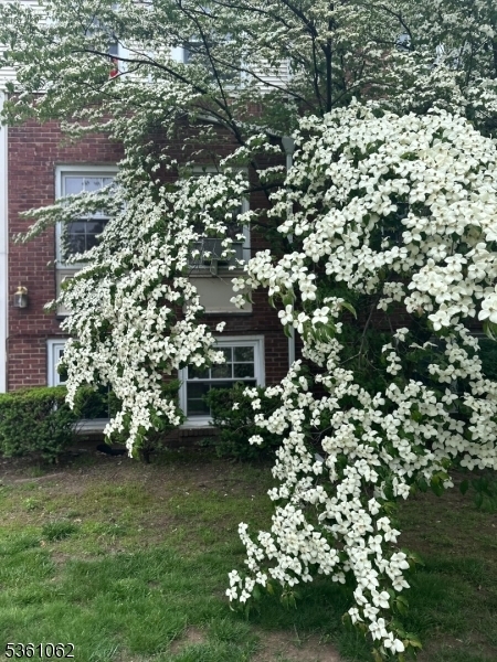 Property Photo:  800 N Broad St 17  NJ 07208 