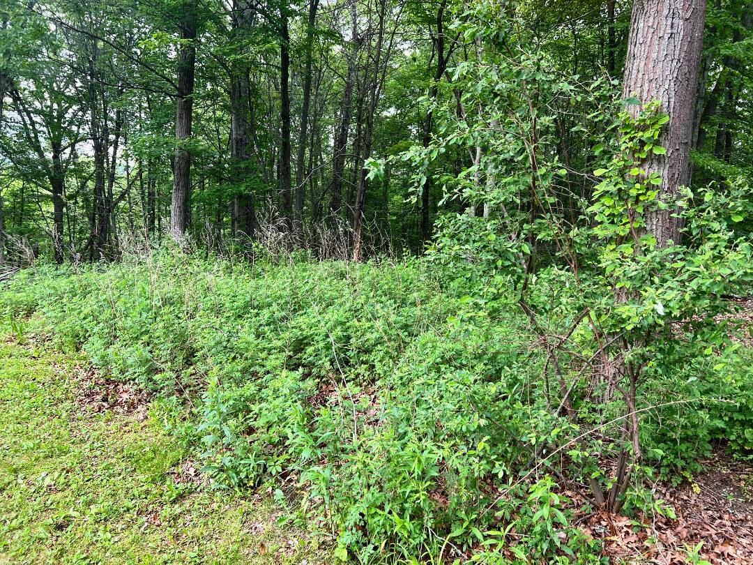 Property Photo: 36 Sylvia Barlow Way NY 10509