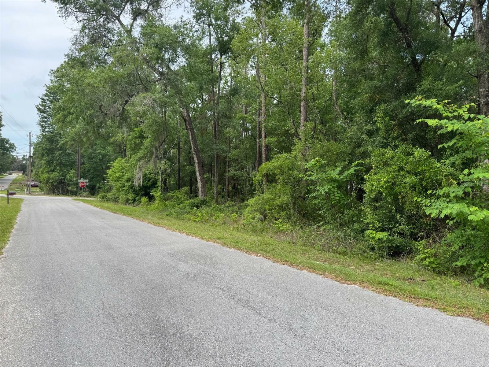 Property Photo: Lot 14 SW Chanel Heights Court FL 34431