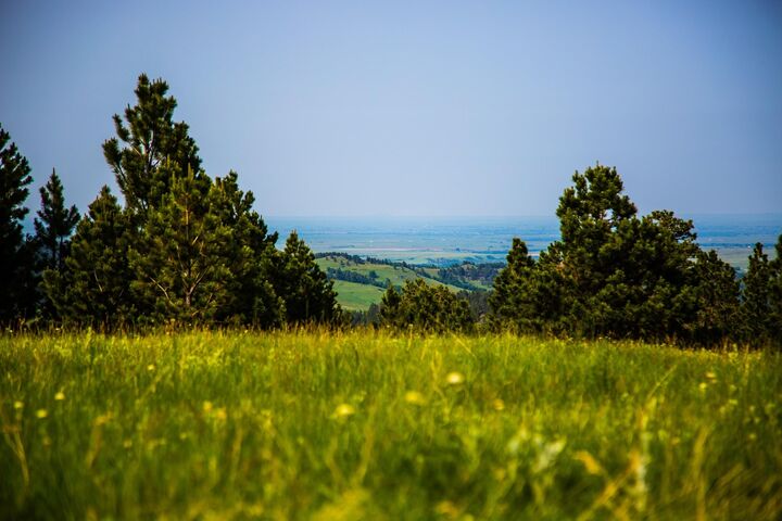 Property Photo:  Tract 8 Oak Street  SD 57793 