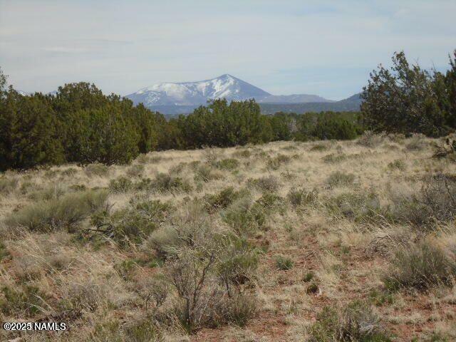 Property Photo:  3435 E Valencia Road  AZ 86046 