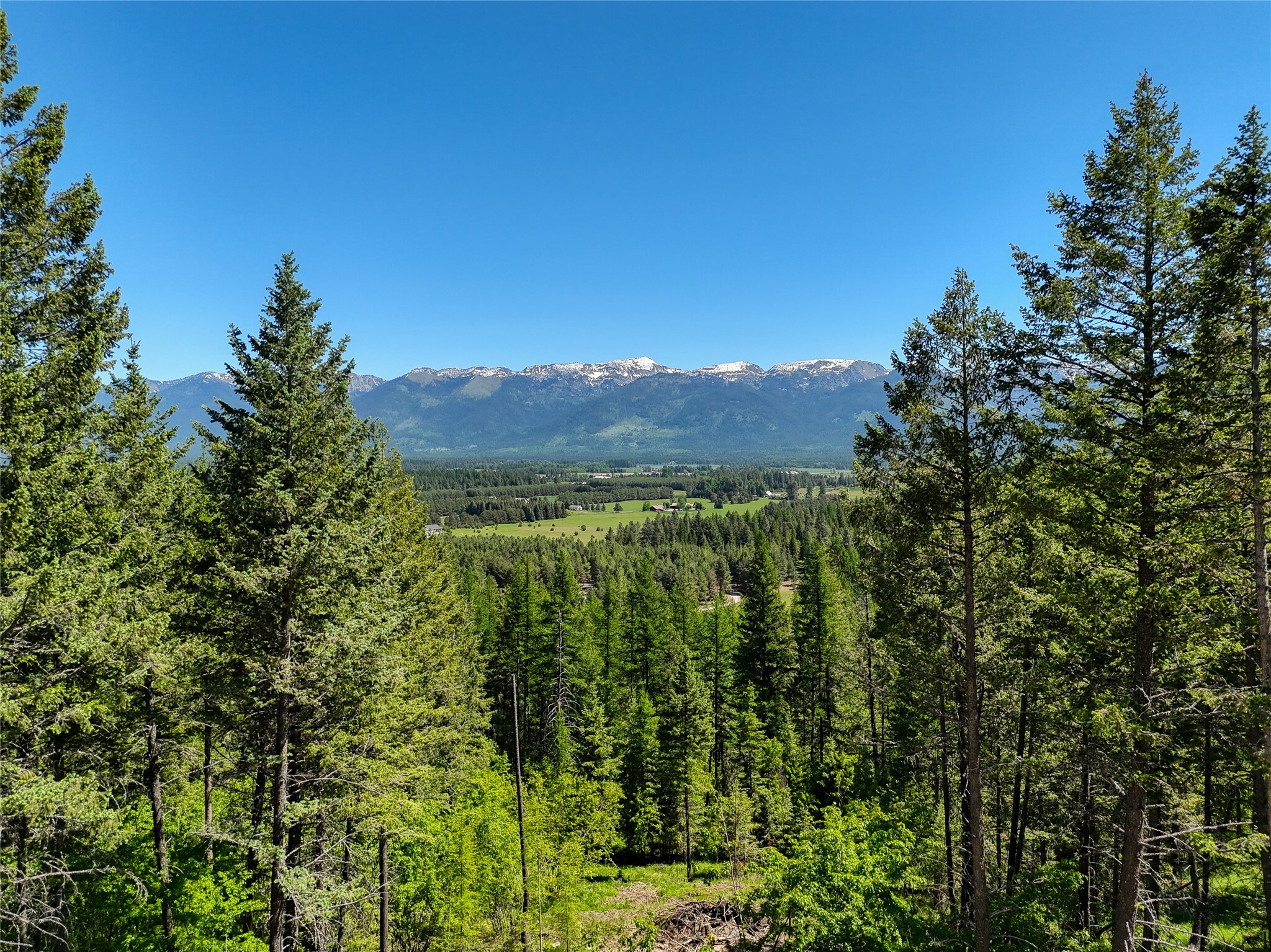 Property Photo: 615 Swan Hill Drive MT 59911
