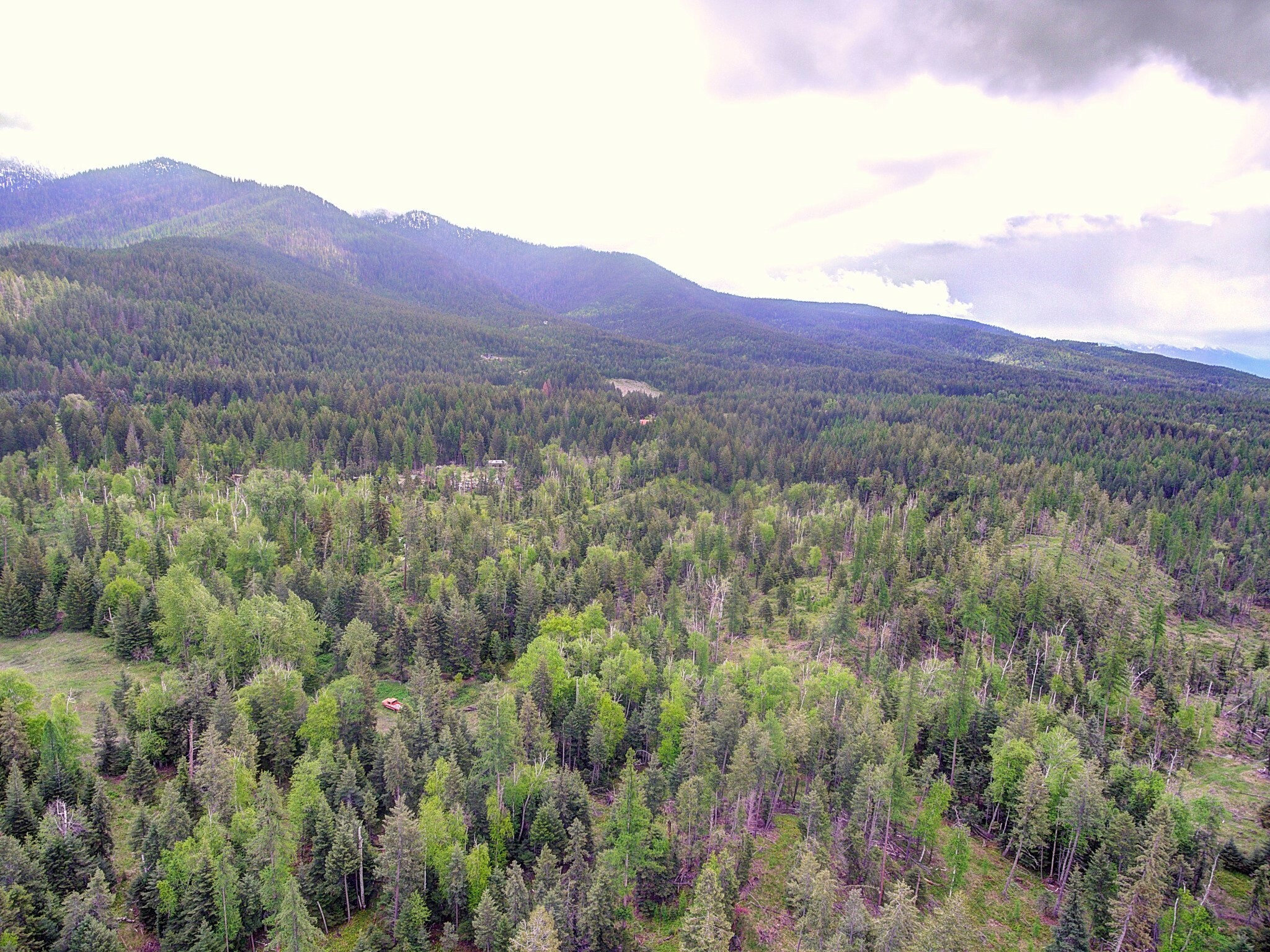 Property Photo: 1462 Foothill Road MT 59901