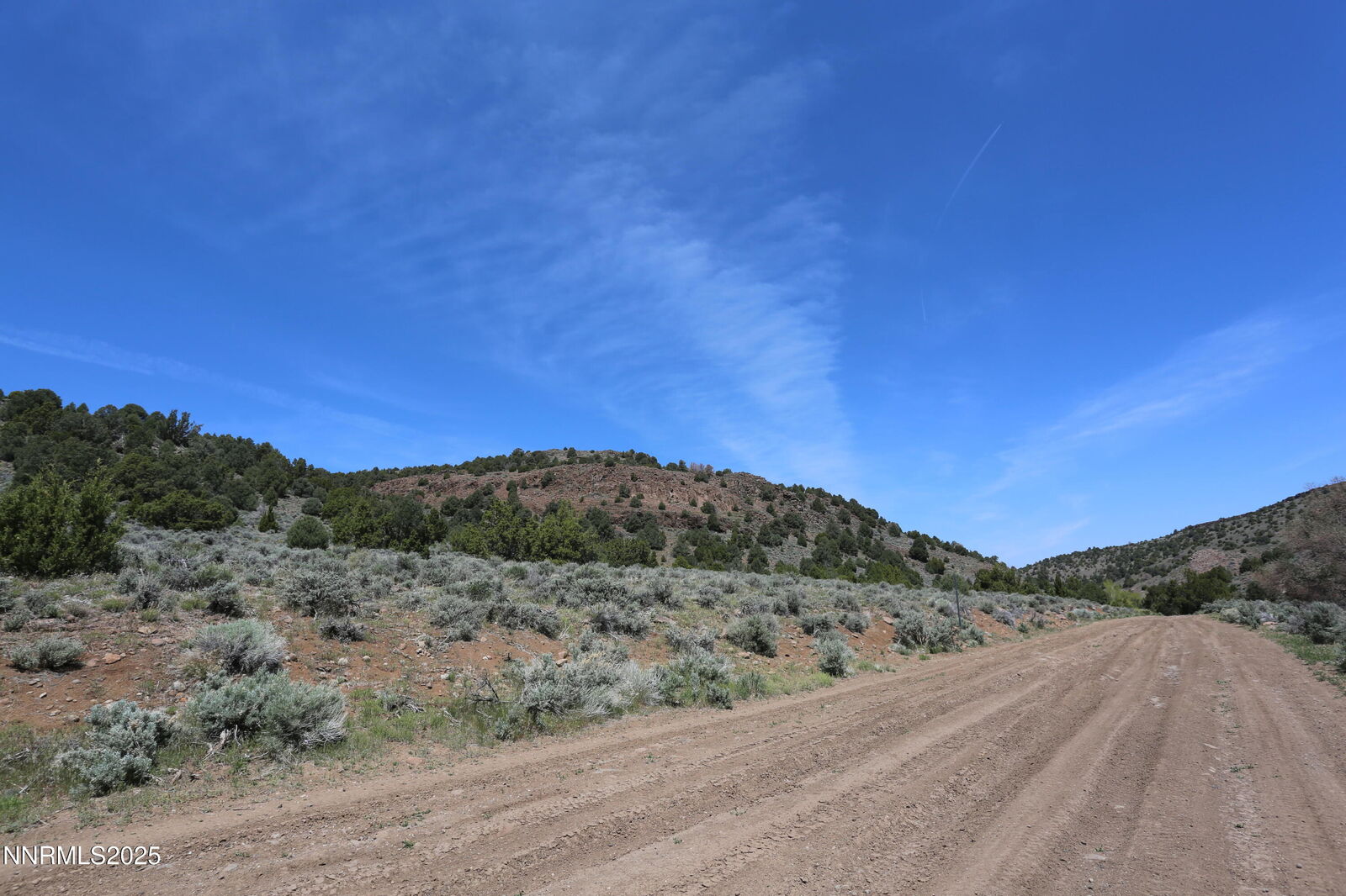 Property Photo:  2320 Lousetown Road  NV 89521 