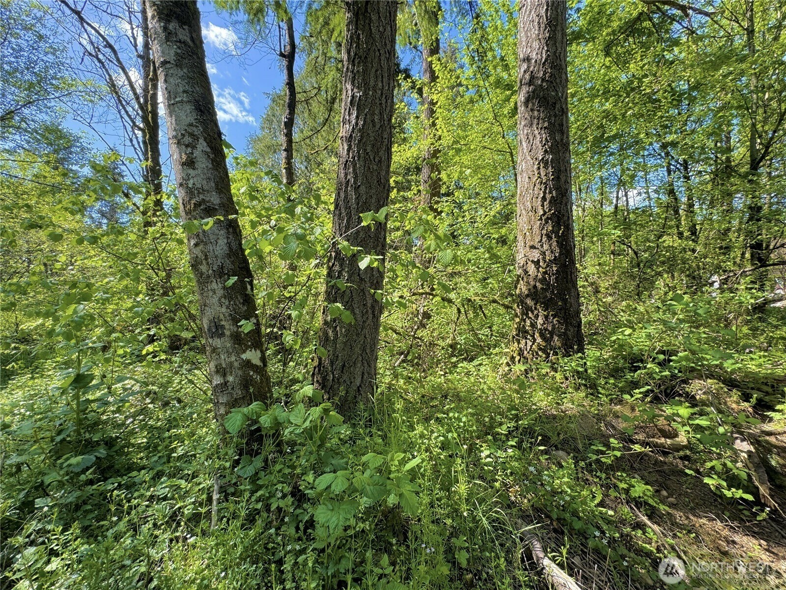 Property Photo: 64000 NE Stevens Pass Highway WA 98251