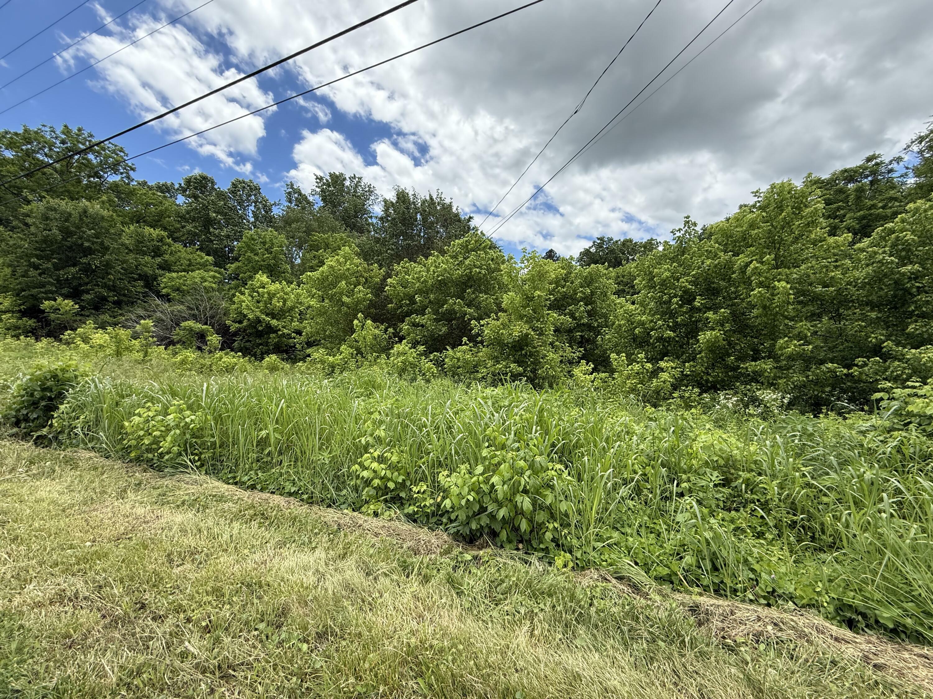 Property Photo: 515 Evensville Mtn Road TN 37332