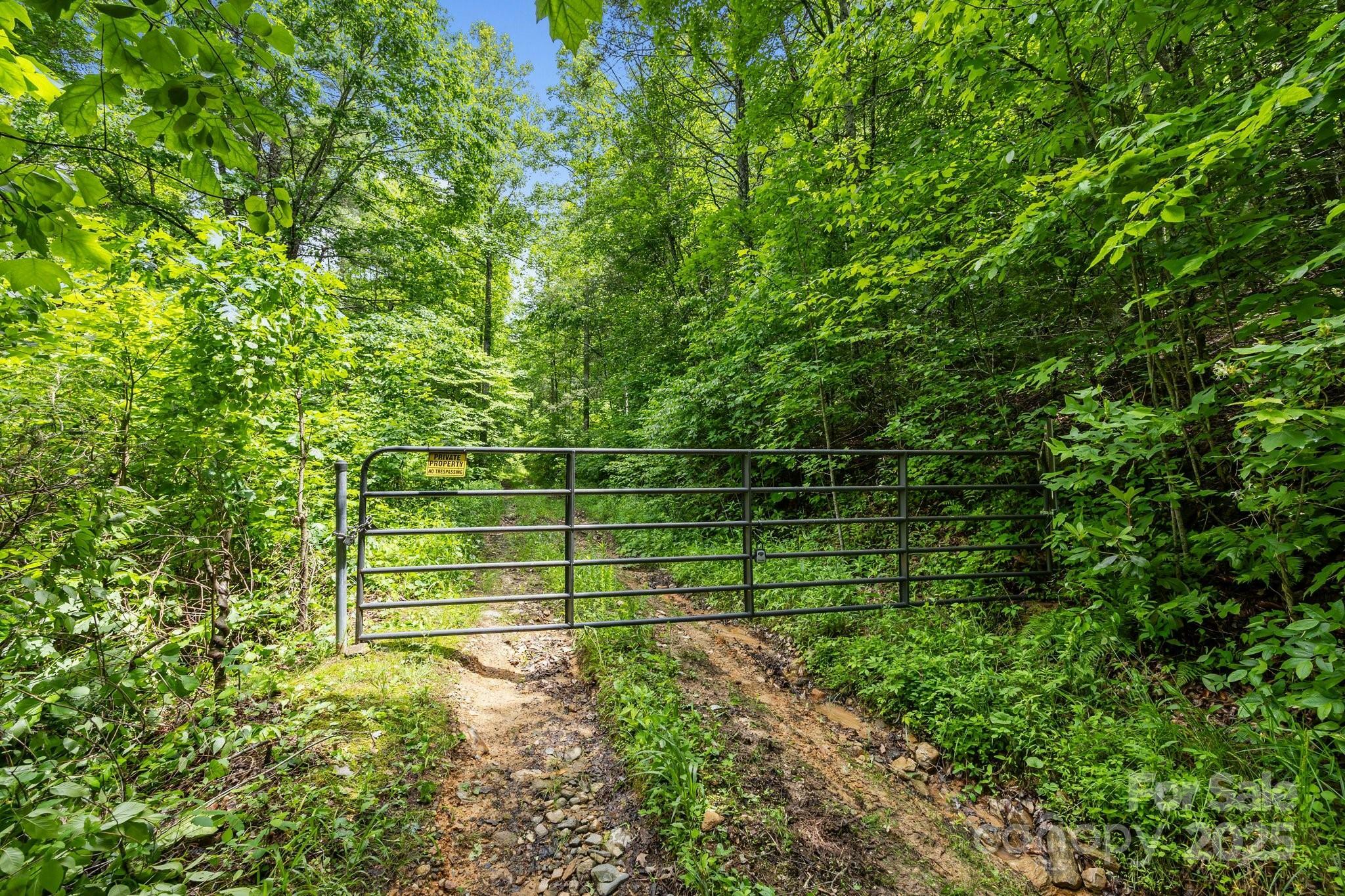 Property Photo: 9999 Burnette Reeves Road NC 28748