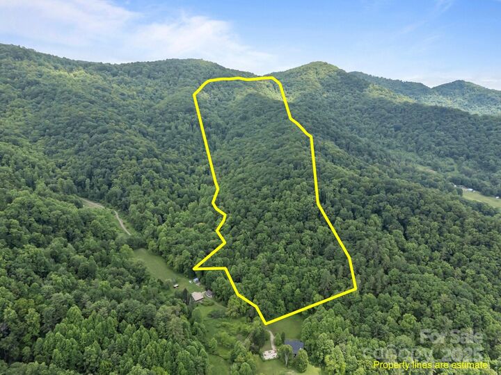 Property Photo:  9999 Burnette Reeves Road  NC 28748 