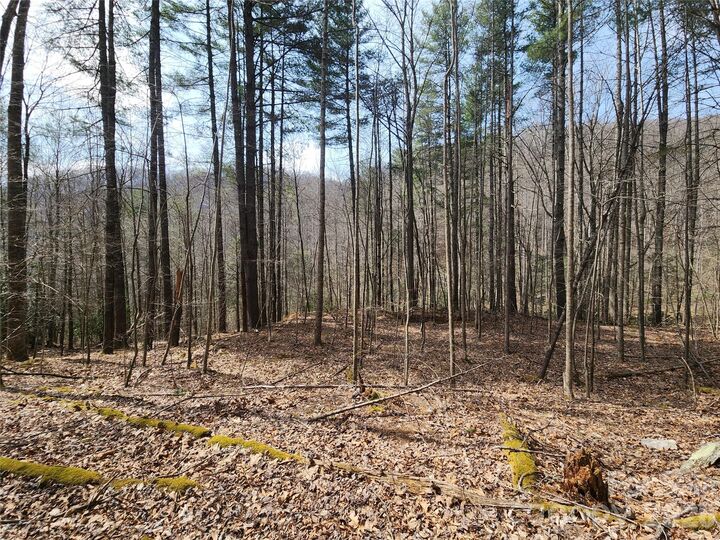 Property Photo:  9999 Burnette Reeves Road  NC 28748 