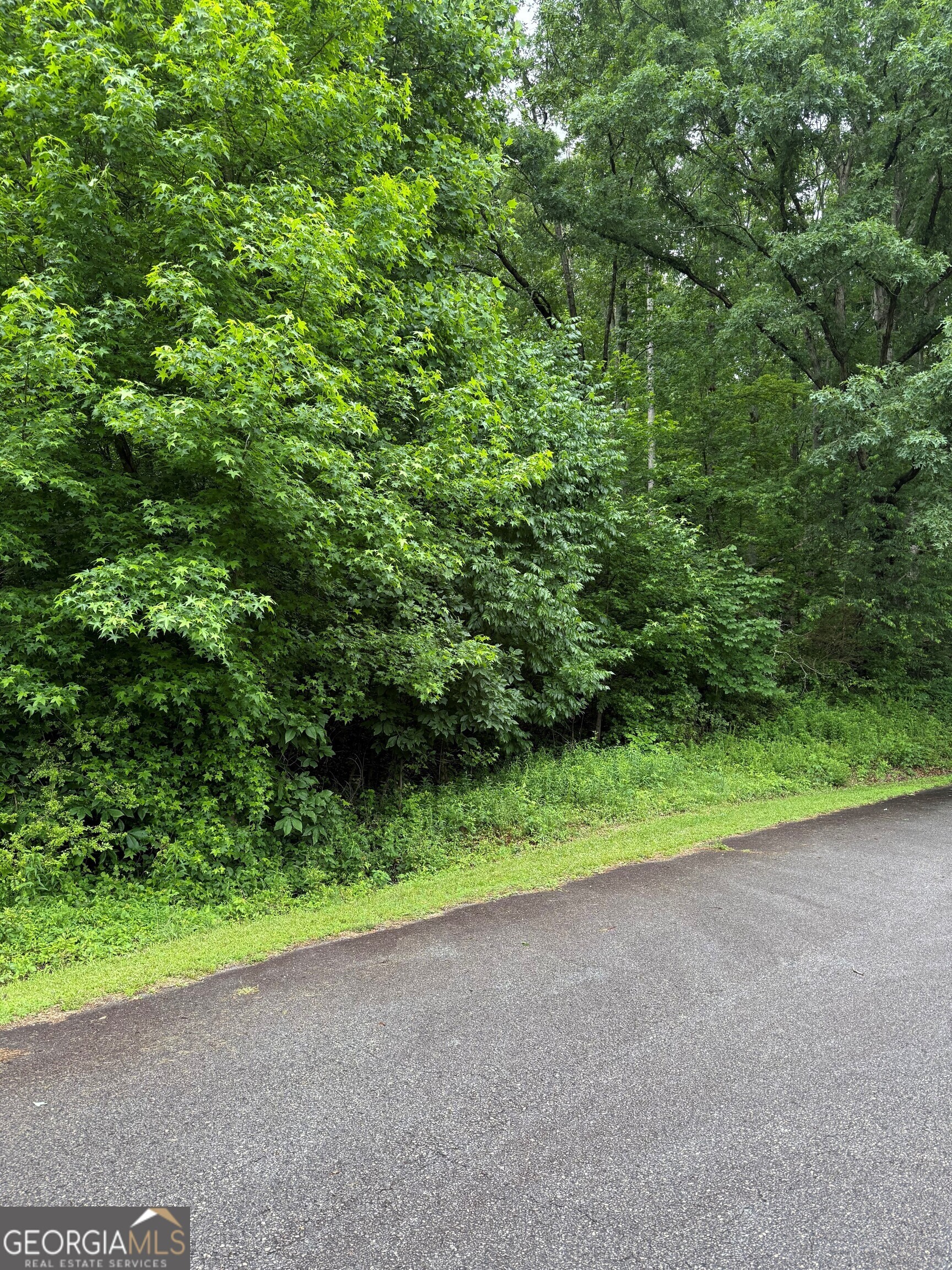 Property Photo: 0 Meadow Crest Drive GA 30528