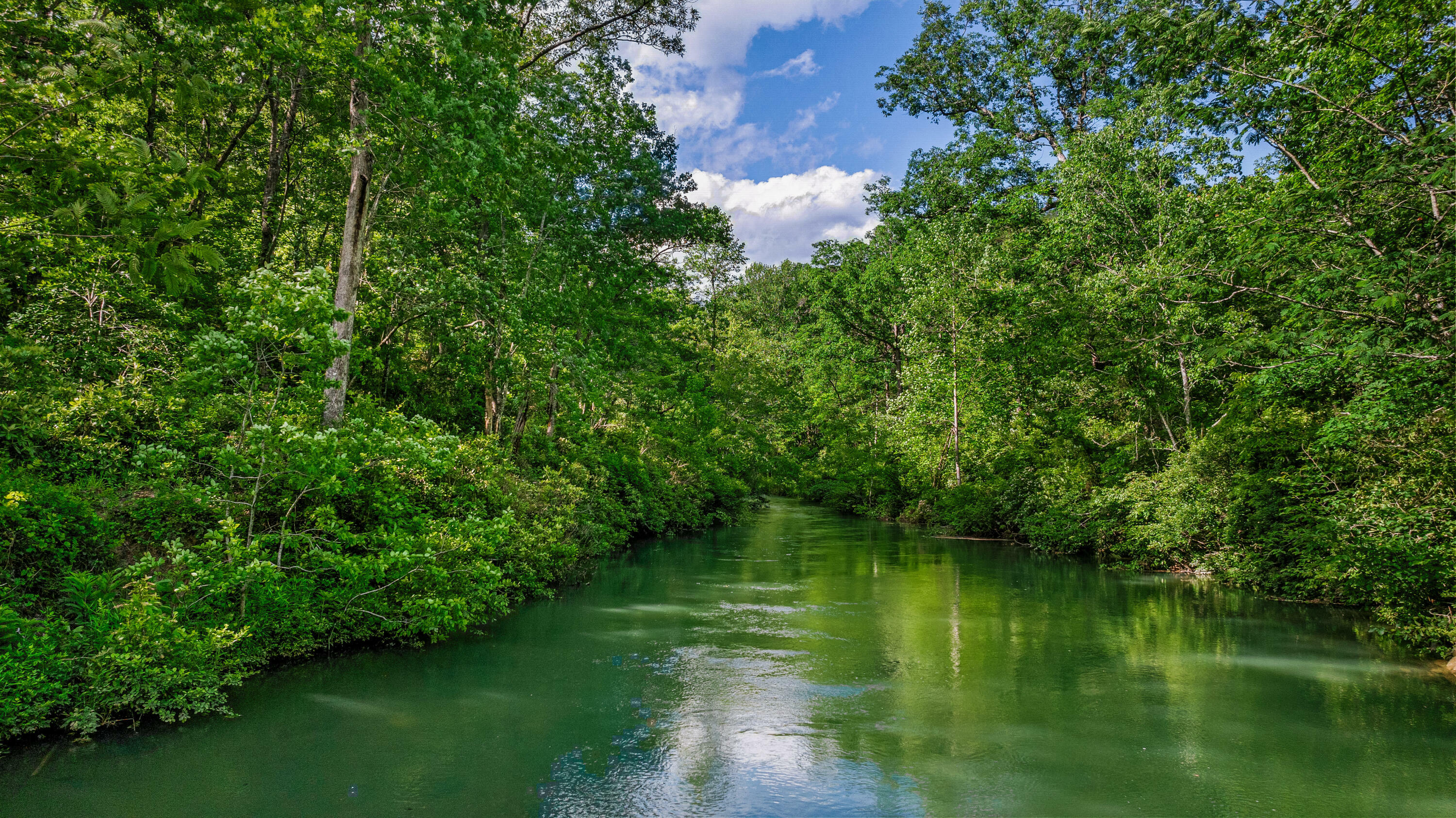 Property Photo: 1224 Alabama Hwy 117 AL 35984