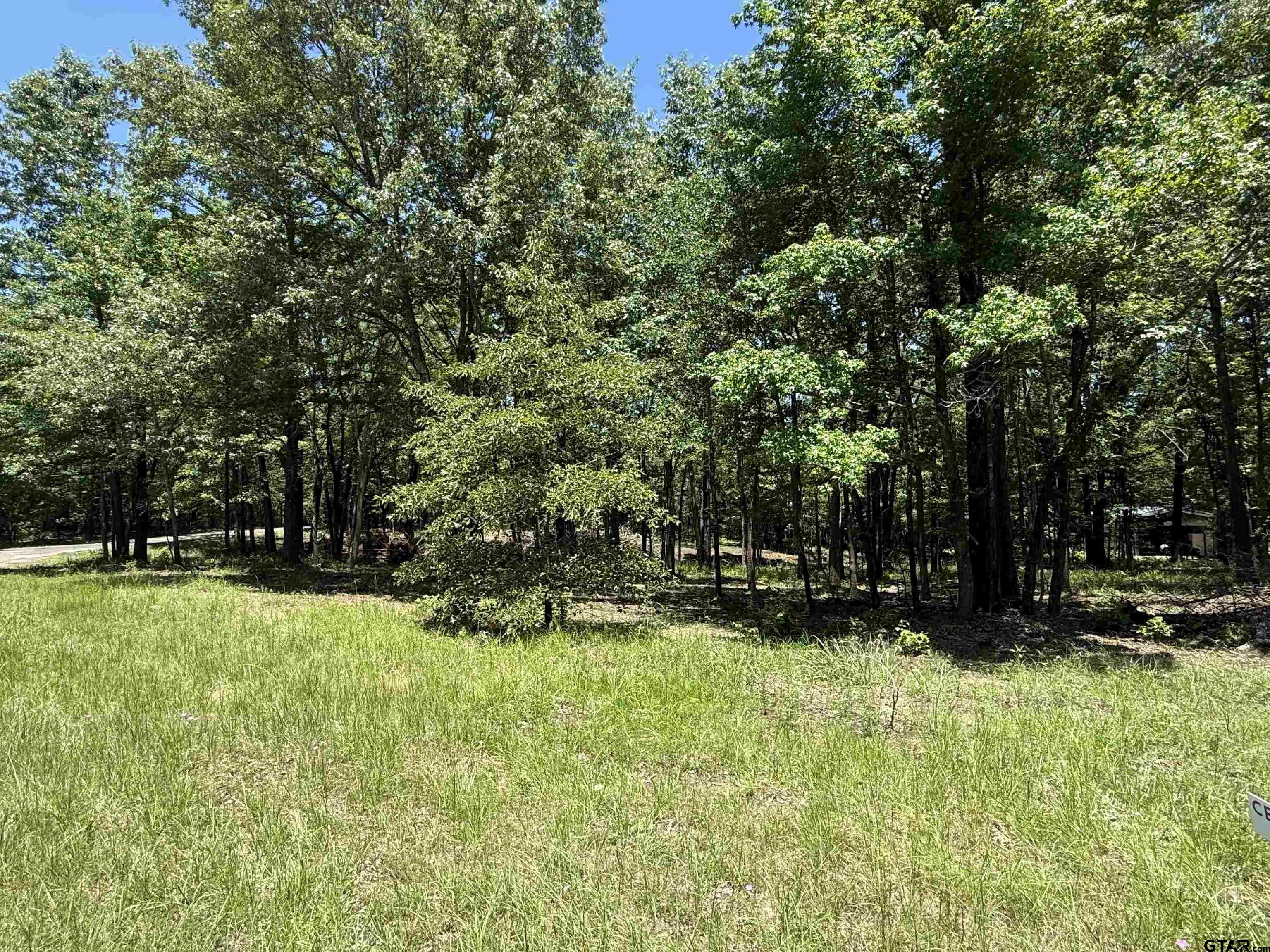 Property Photo: Tbd Pr 5861 (Lot 3) TX 75497