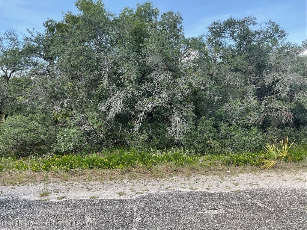 Property Photo:  242 Crystal Lake Drive  FL 33852 