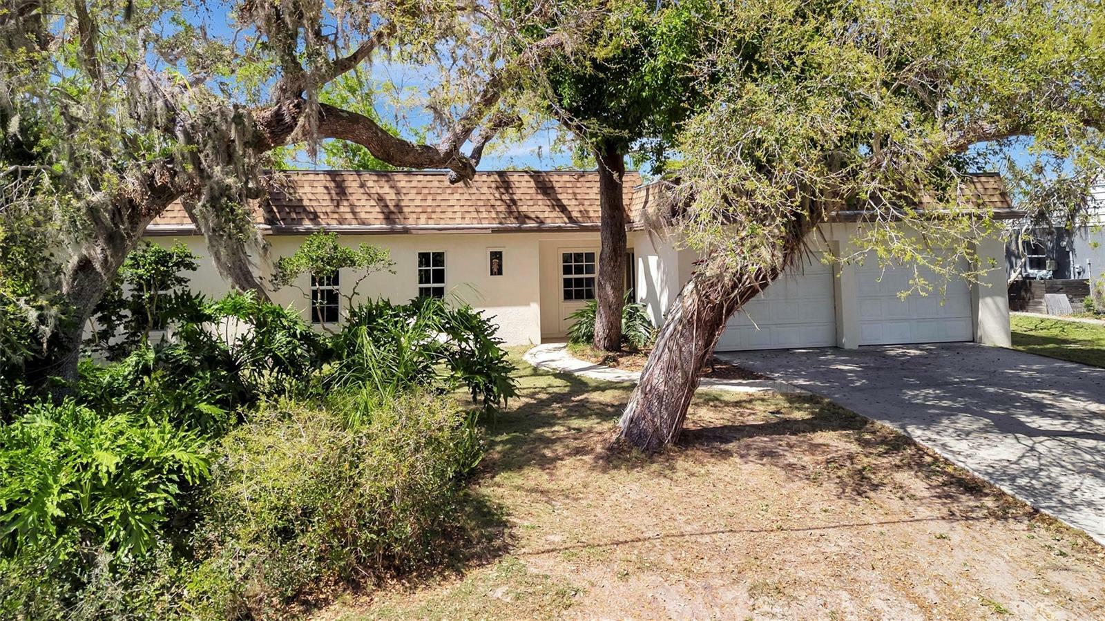 3428 Mineola Drive  Sarasota FL 34239 photo