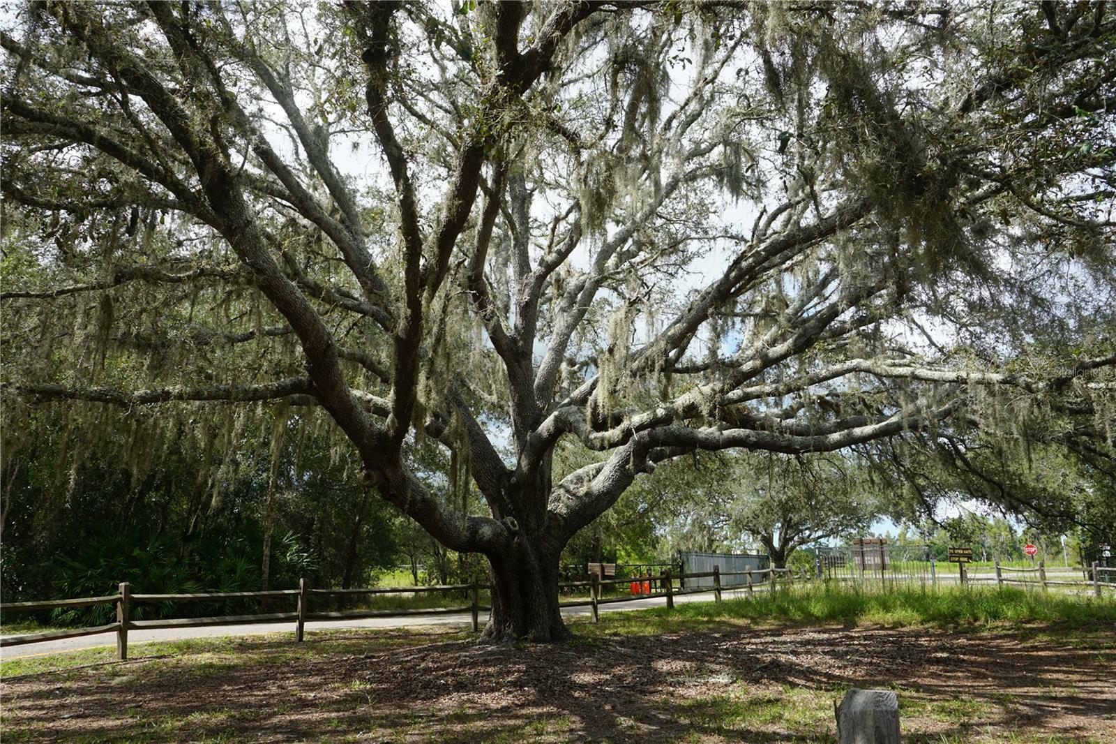 Property Photo: 0 74th Avenue N FL 33781