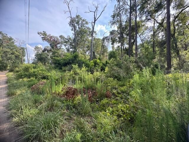 Property Photo: SW 58th Street FL 33597