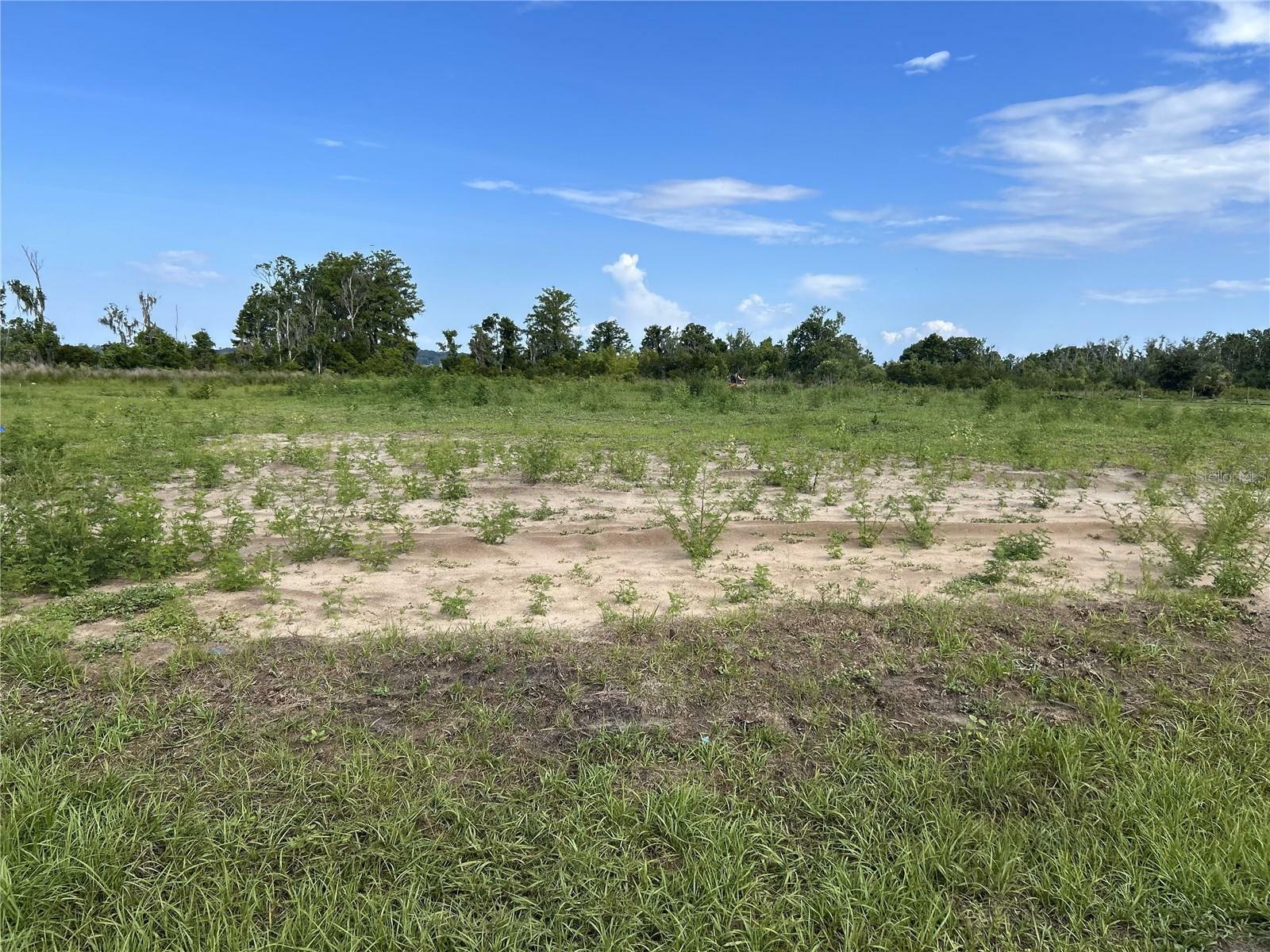 Property Photo: 12942 Stillwater Cove Drive FL 34705