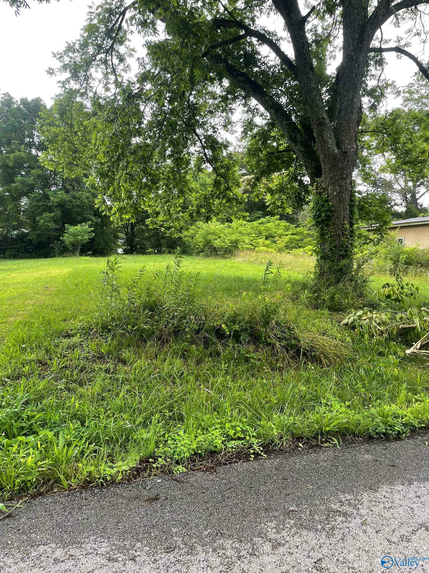 Property Photo:  Lot 54' Off W5 NW 3rd Avenue NW  AL 35016 