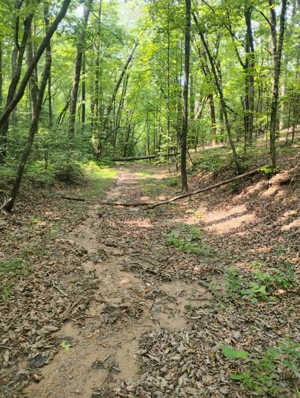 Property Photo: 11.12 Ac Lowman Road GA 30536