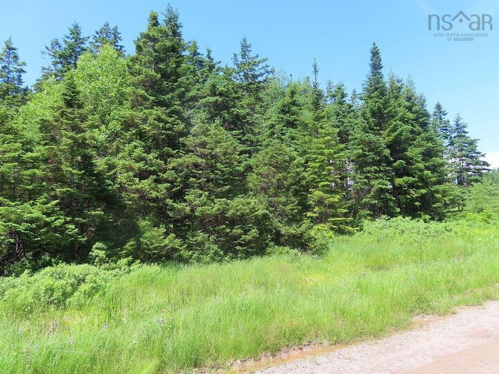 Property Photo:  20 Acres Upper Grand Mira Road  NS B1K 1M1 