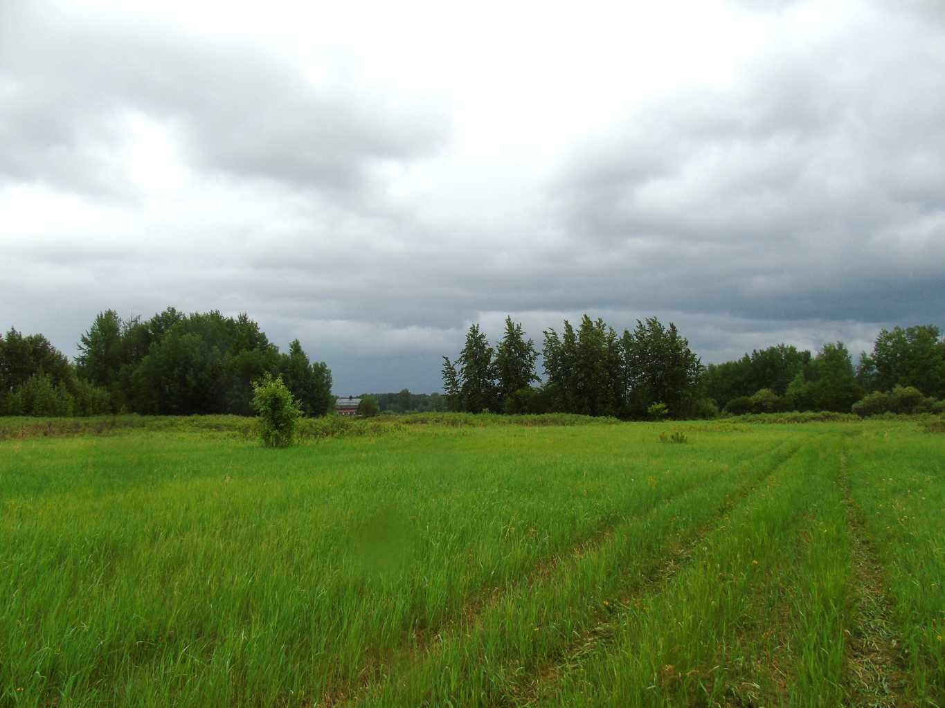 Property Photo: Township Road 731A AB T0G 1K0