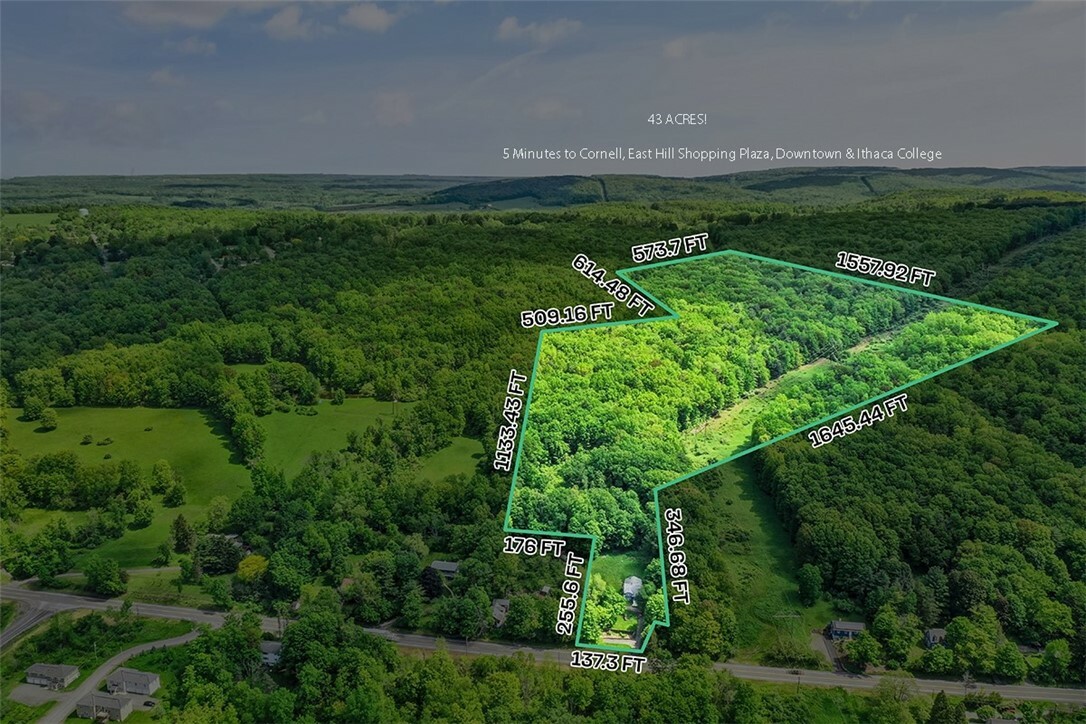 Property Photo: 1650 Slaterville Road NY 14850
