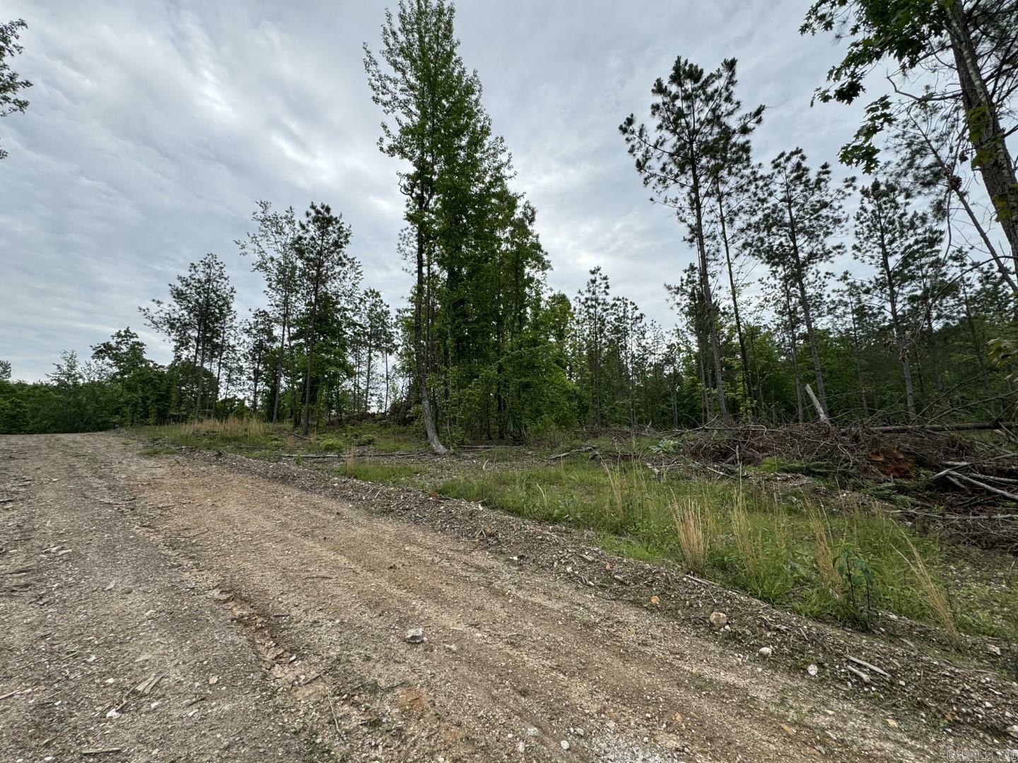 Property Photo: 000 Seven Roses Lane AR 72087