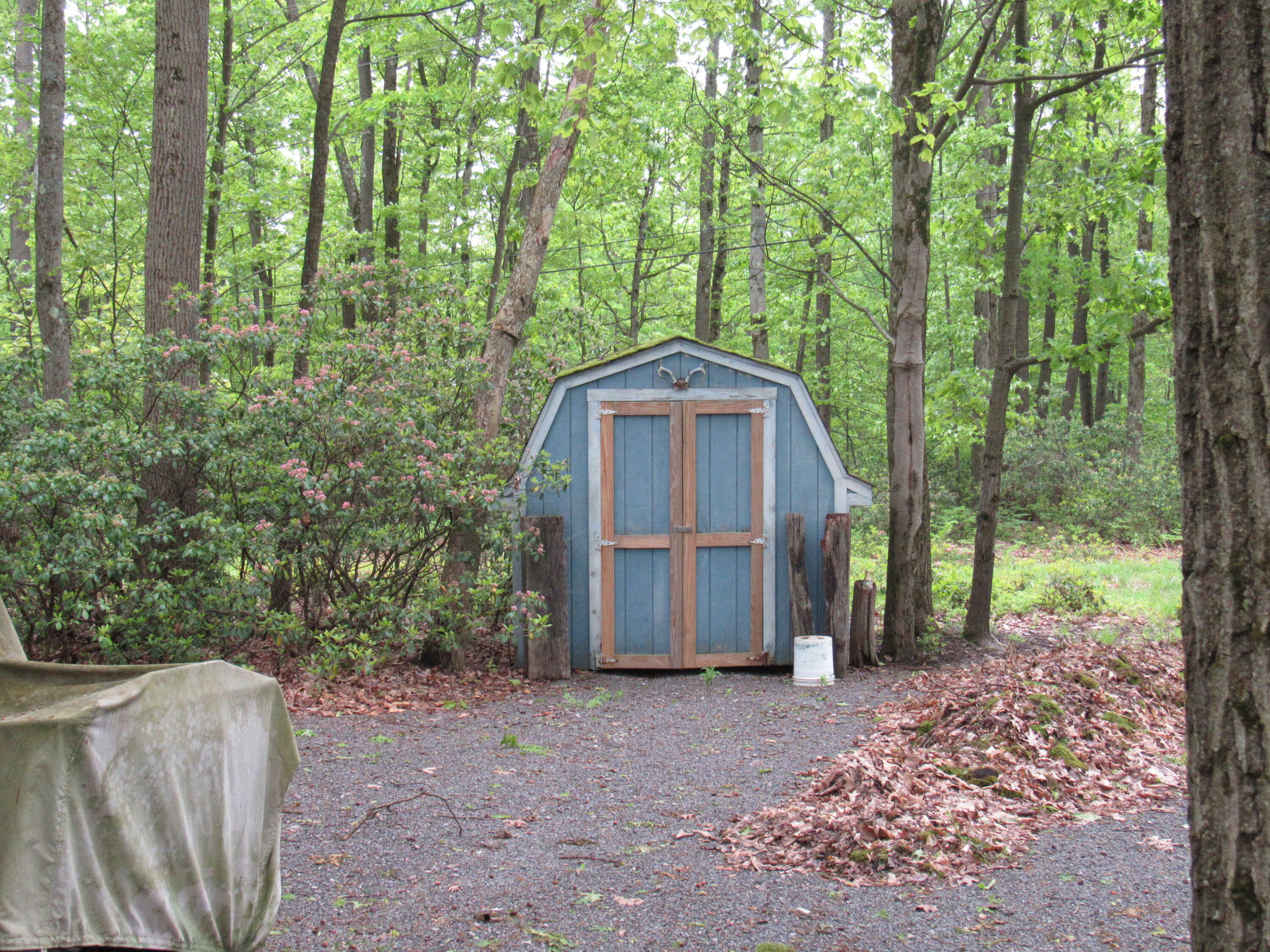 Property Photo: 129 Dolphin Head Rd PA 15801