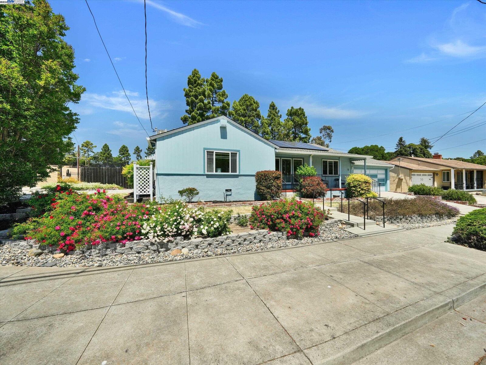 Property Photo:  1706 Grove Way  CA 94546 