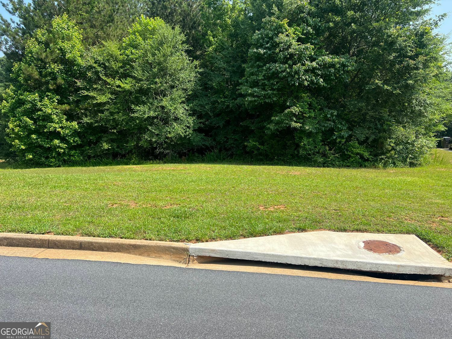 Property Photo: 115 Greenwich Drive GA 30016