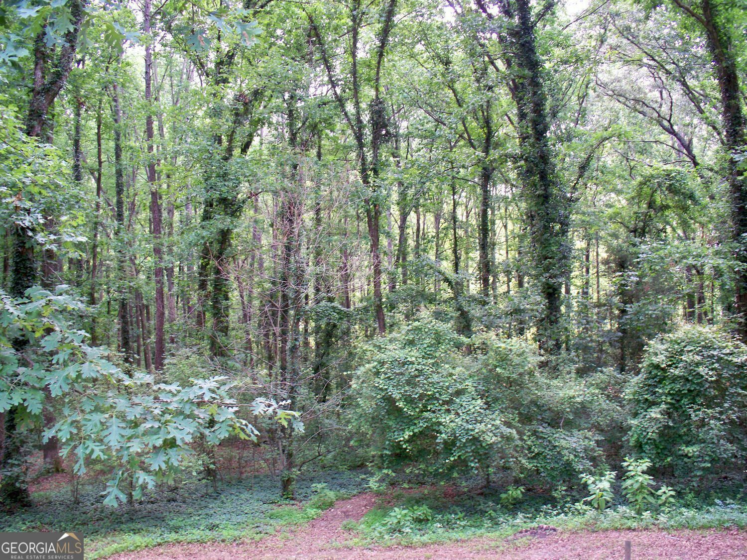 Property Photo: 219 Park Avenue GA 30188