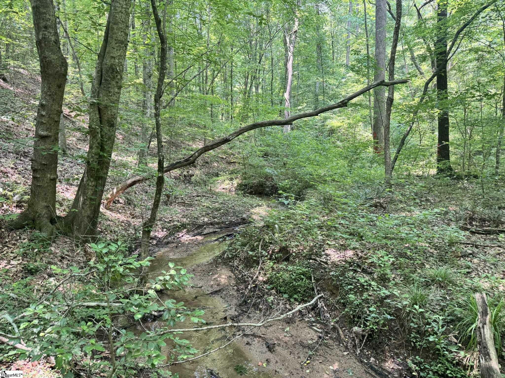 Property Photo: 0 N Jenkins Bridge Road SC 29693