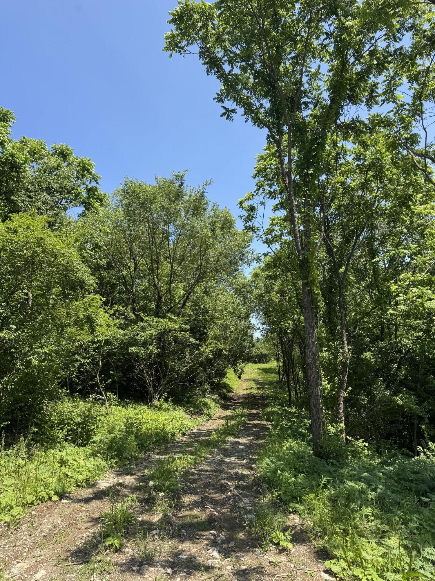 Property Photo: Lot - East Drive KY 40422