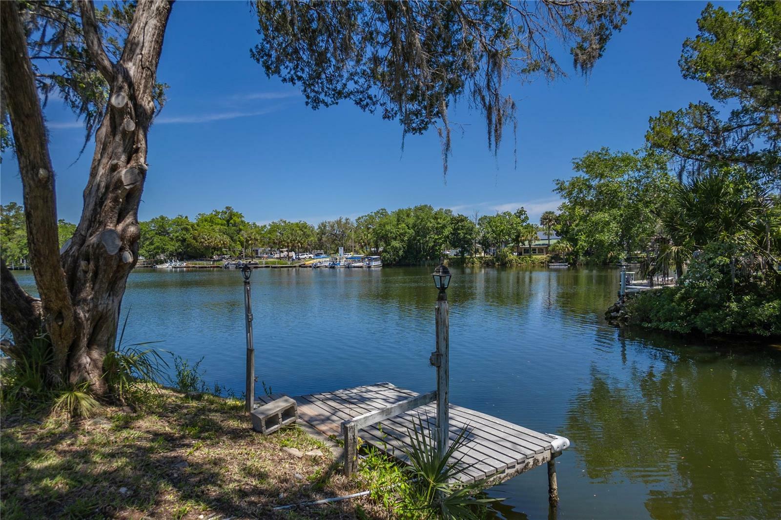 Property Photo: 3861 N Ringdove Point FL 34428