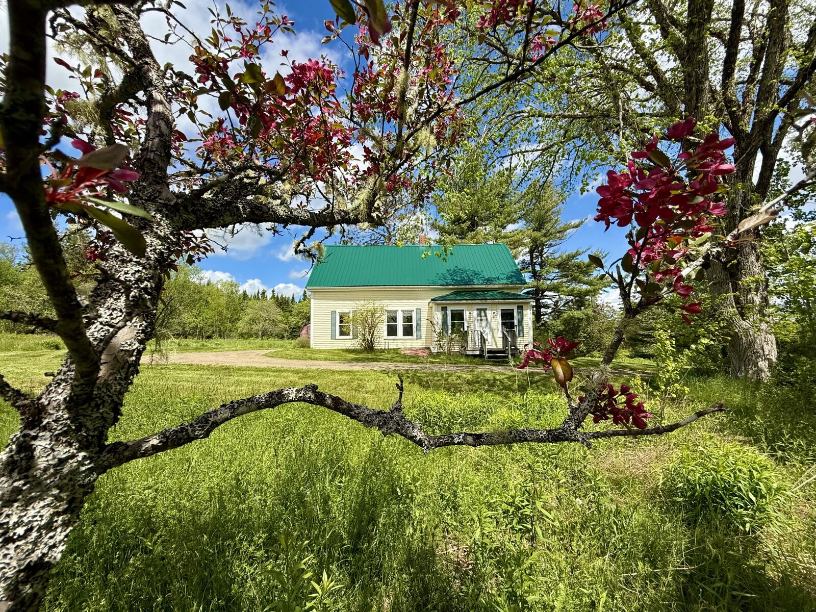 Property Photo: 149 Old Eastport Road ME 04667